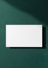 Emerald Shadows: Blank Canvas, Sunlit Still Life