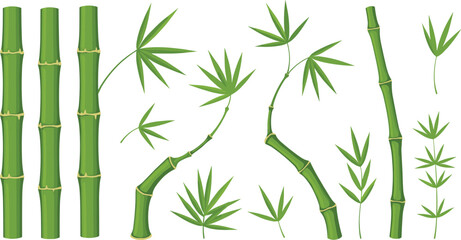 Obraz premium Green Bamboo Stalk And Leaf Element Set For Tropical Nature Design Botanical Illustration And Asian Style Vector Graphics
