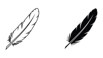Black and white feather illustration on white background © vdobazar