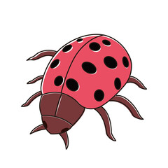 Obraz premium てんとう虫 春 かわいい イラスト