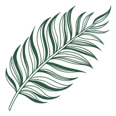 Fototapeta premium Green feather illustration