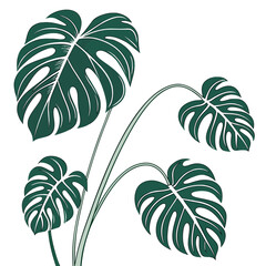 Tropical monstera leaves illustration ©  MST RABEYA  BEGUM