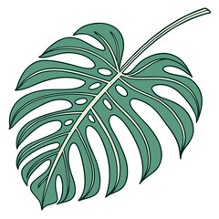 Monstera leaf illustration ©  MST RABEYA  BEGUM