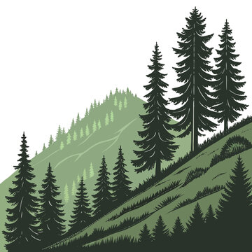 Serene forest hillside