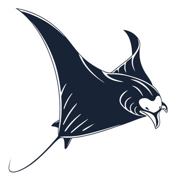 Illustration of a manta ray