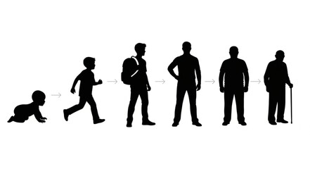 Human life cycle stages silhouette progression from baby to elder.