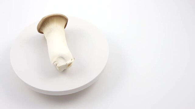 肉厚なエリンギが白背景で回転するシーン