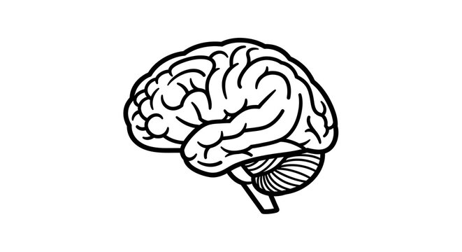 Black and white illustration of a human brain in side profile on a white background
