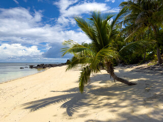 Tropical Sandy Beach with Leaning Palm Tree, Clear Sea, and Cloudy Sky