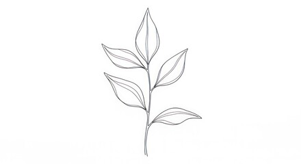 Fototapeta premium A simple line drawing of a plant with elongated leaves on a white background.