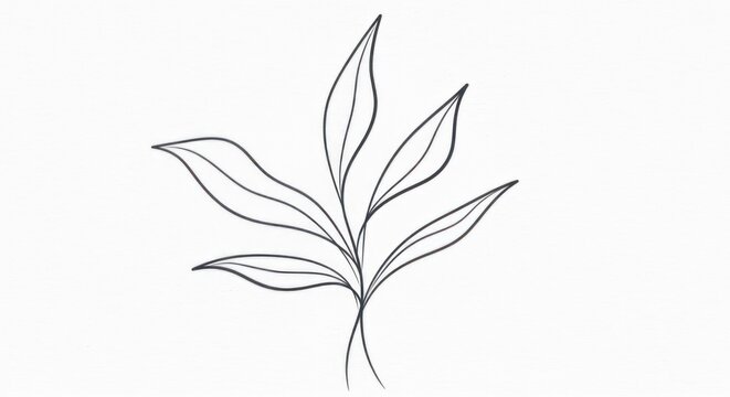 A simple line drawing of a plant with multiple leaves, set against a plain background.