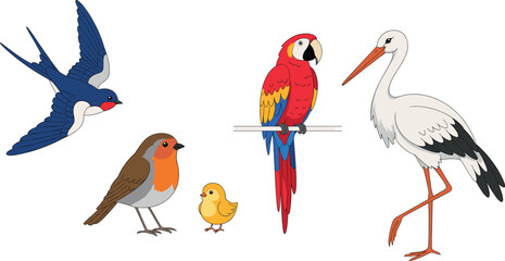Obraz premium Set of colorful cartoon birds swallow robin chick parrot and stork vector illustration
