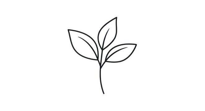A simple black line drawing of a plant with three leaves on a white background.