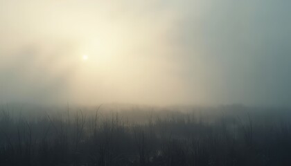 Fototapeta premium Misty Morning Sunrise Over a Field of Wildflowers with Soft Golden Light and Hazy Atmosphere