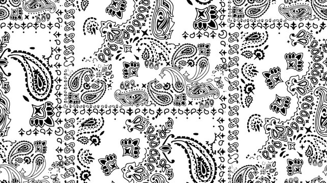 Intricate Black and White Paisley Bandana Style Print seamless pattern background