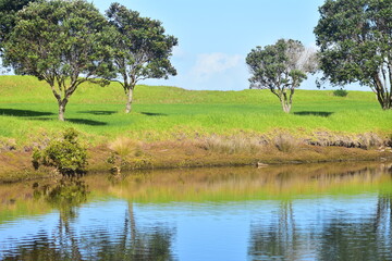 Scene from one of numerous regional parks in Auckland region &acirc;&euro;&ldquo; this one on Tawharanui Peninsula. Location: Auckland New Zealand