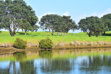 Scene from one of numerous recreational parks in Auckland region &acirc;&euro;&ldquo; this one on Tawharanui Peninsula. Location: Auckland New Zealand