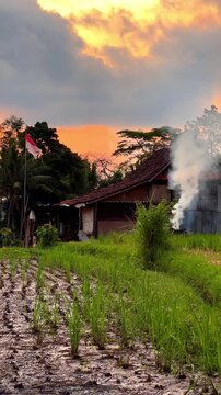 Ubud rural rice field sunset static video shot. Indonesian flag waving, smoke rising village house serene Bali countryside seamless loop 4K vertical video cinematic rural scene 2026 travel trends