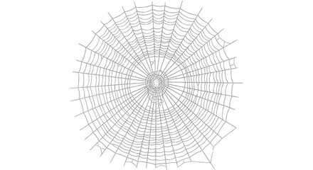 Obraz premium Intricate spider web pattern with dew like texture on black background