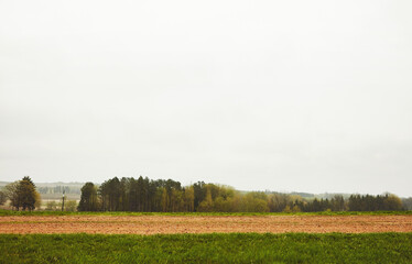 Obraz premium Countryside, landscape and trees outdoor with peace, winter weather and calm for tranquil environment. Grey sky, space and nature with cold climate, green plants and growth for sustainable ecology.