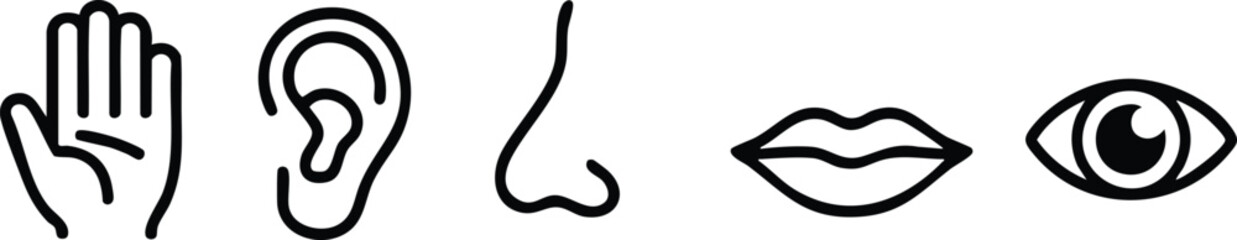 Five Human Senses Outline Icon Set, Monochrome Sensory Perception Graphics for Biology and Anatomy, vector, illustration, silhouette © naeem
