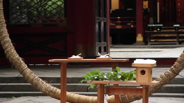 根津神社　夏越大祓式　芽の輪くぐり