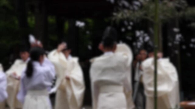 根津神社　夏越大祓式　芽の輪くぐり