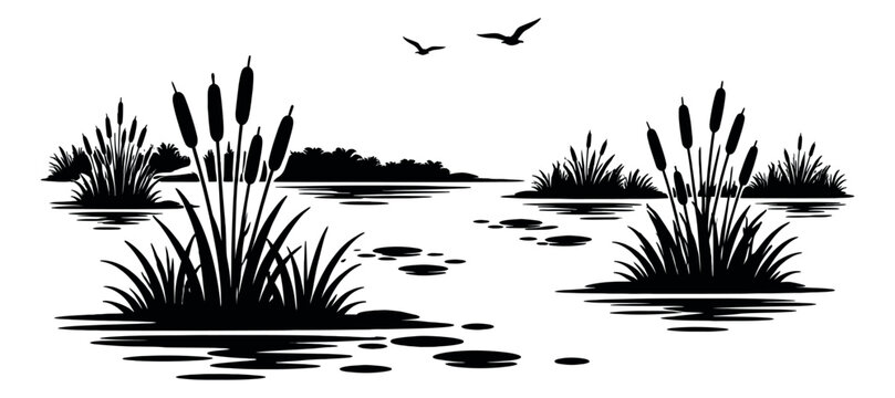 Line art illustration of a marsh scene depicting cattails and flying birds for a nature background