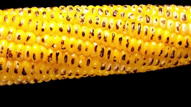 Close-up macro shot of a perfectly grilled ear of corn with charred kernels on a black background