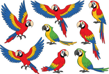 Colorful macaw parrot set with flying and standing poses in vibrant flat cartoon vector style © MDAbul