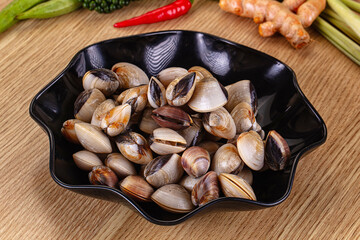 Raw fresh wild clams mollusc © Andrei Starostin