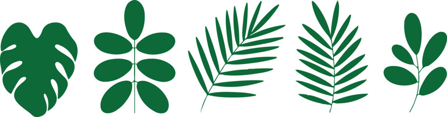 Tropical Leaf Vector Set Green Botanical Foliage © MST