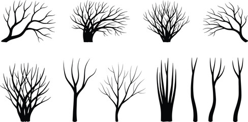 Obraz premium Bare Tree Silhouette Collection With Leafless Branches And Winter Forest Shapes In Black Vector Illustration Set