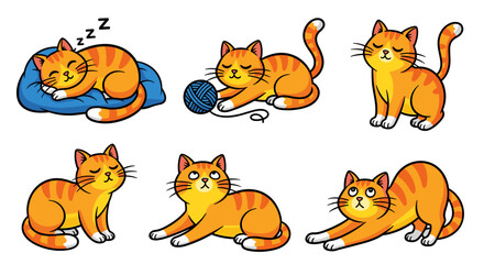 Obraz premium Set of Orange Striped Kitten Doing Various Activities