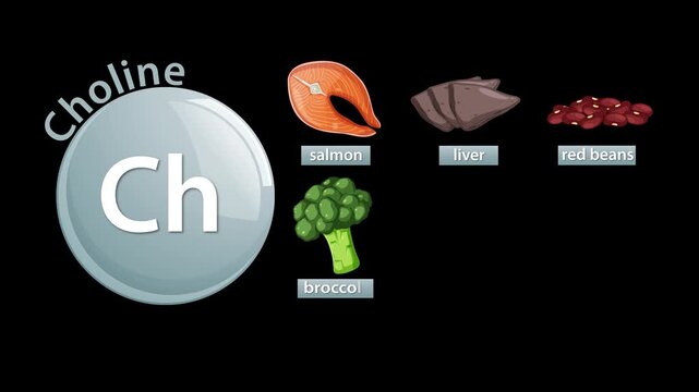 Choline Sources Animation: Salmon, Liver, Beans, Broccoli, Soybeans, Egg