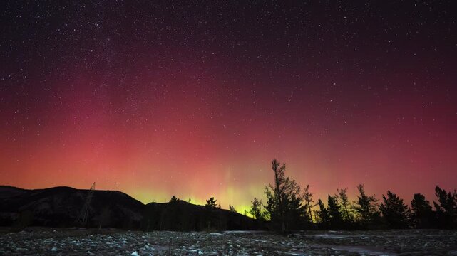 Red-green northern lights over pine trees and winter forest in the mountains