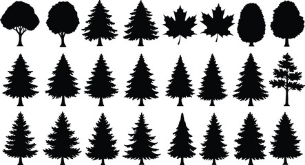 Tree silhouette collection, leaf shapes, coniferous and deciduous forms, botanical icons, forest elements, nature graphics, black vector set, minimal design © Creative Artist
