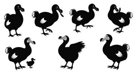 A collection of dodo bird silhouettes in various poses perfect for design projects on transparent background high quality professional detailed modern © mrvect02