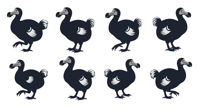 A collection of five dodo bird silhouettes arranged in a grid ideal for design projects on transparent background high quality professional