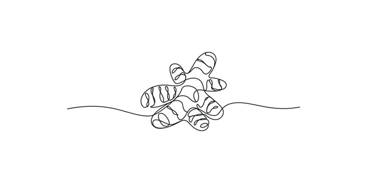 Single line art drawing of a ginger root, a popular spice for health and cooking