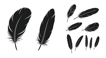 A collection of detailed feather illustrations in black perfect for design projects on transparent background silhouette high quality professional modern elegant © mrvect02