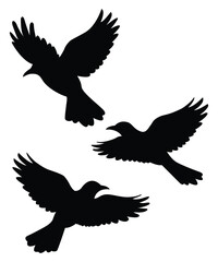 Obraz premium Flying Bird Silhouettes Design for T-Shirts Posters Banners Travel Branding Wall Art.