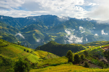 Obraz premium Natural and urban views of Vietnam