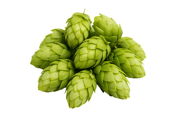 Obraz premium Fresh green hops cluster isolated on transparent background