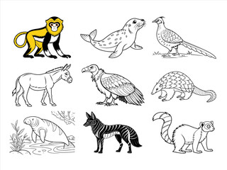 coloring page line art the animal and flower black vector bundle