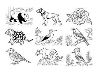 coloring page line art the animal and flower black vector bundle