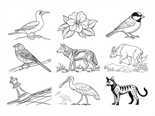 coloring page line art the animal and flower black vector bundle