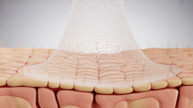 Microscopic view of skin layers with a hydrating serum penetrating the epidermis and dermis showing cellular structure and moisture droplets in a close up