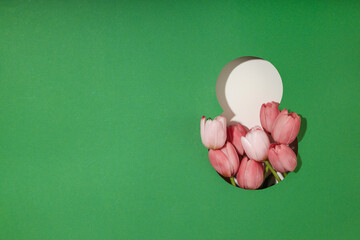 Obraz premium Spring tulips are arranged beautifully to honor women