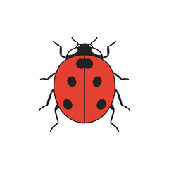 Fototapeta premium Vibrant red ladybug with black spots and delicate antennae